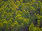 USA-Utah-east of Logan on highway 89 and Aspen Grove still green Art Print